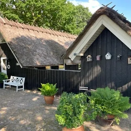 Retro Idyll And Bird Sounds In Quiet Oasis Feriehus *