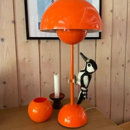 Retro Idyll And Bird Sounds In Quiet Oasis