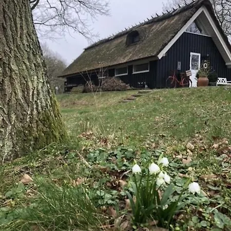 Feriehus Retro Idyll And Bird Sounds In Quiet Oasis Asperup